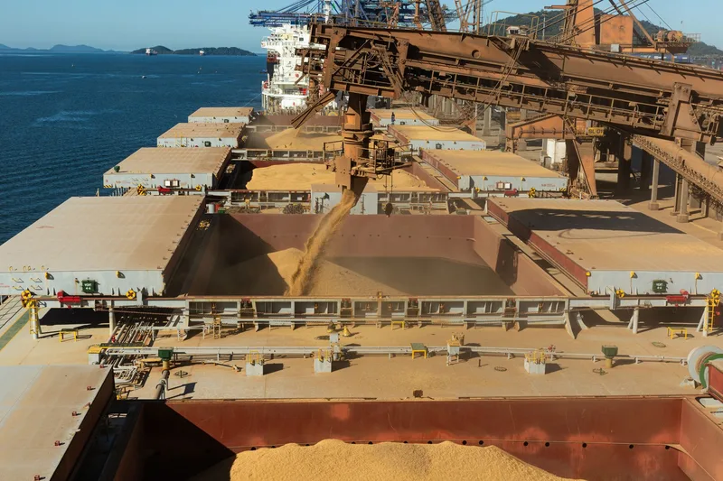 A shiploader pours yellow grain into the open hold of a bulk carrier at a port terminal