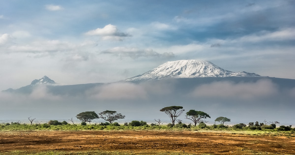 Coffee Exporters Kenya: How to Source Kenya AA and Specialty Beans in 2026