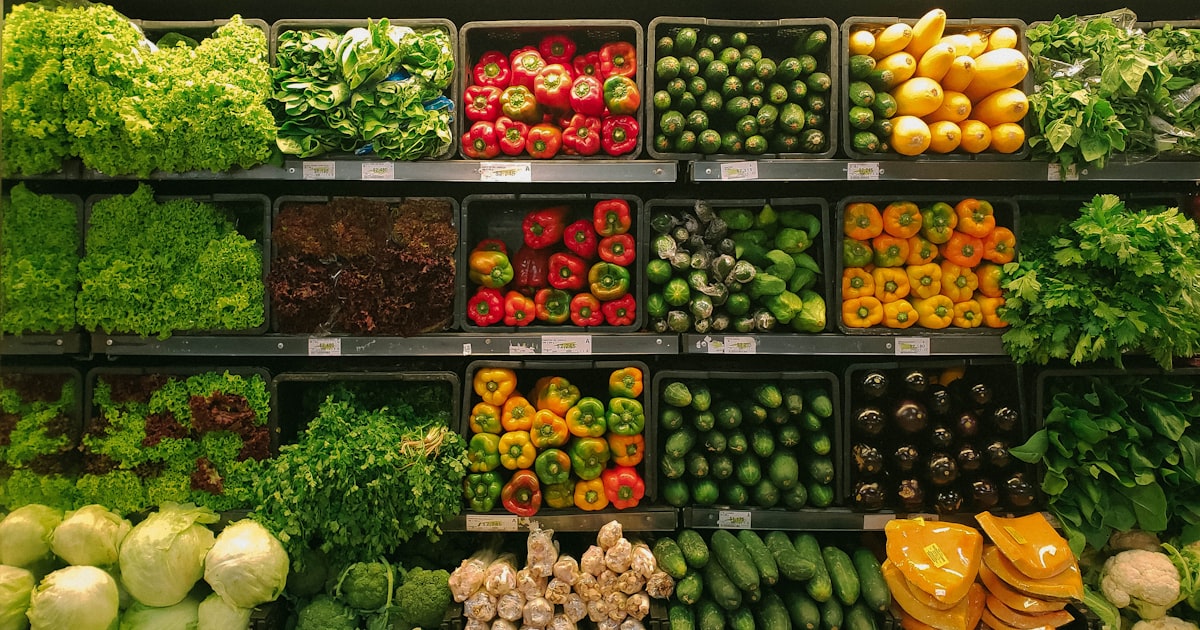 Food Packaging Suppliers: How to Source the Right Packaging for Your Products