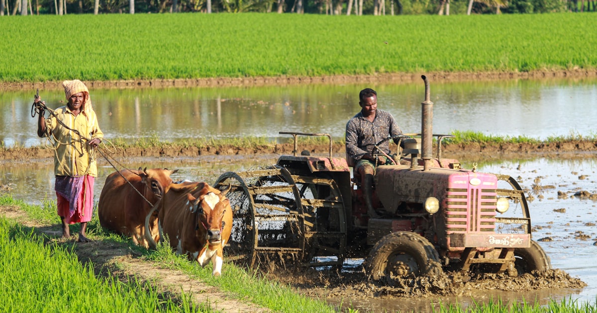Organic Products Exporters: Global Sourcing Guide for the $220B Organic Market