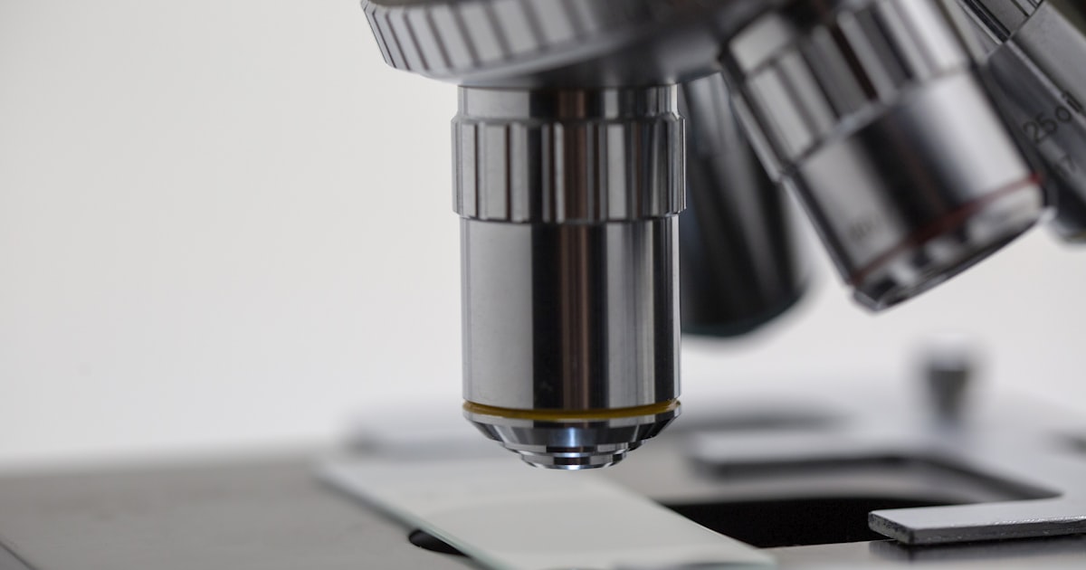 Pakistan Textile Companies: Inside the $15 Billion Industry Powering Global Fashion and Home Goods